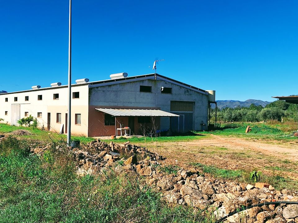 Finca i Ginestar, Tarragona - bilde 1